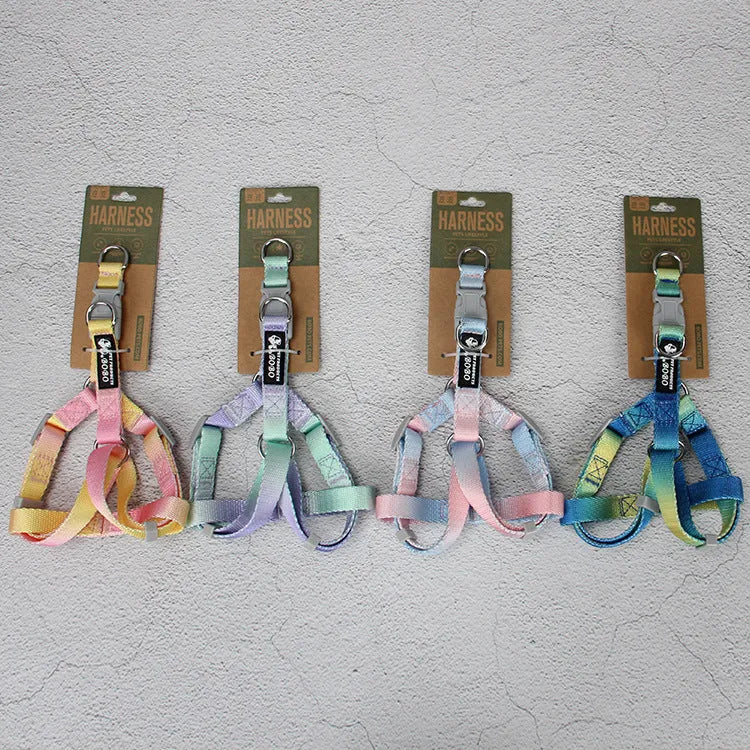 Nylon dog leash and collar set showing pink and blue gradient colour option.