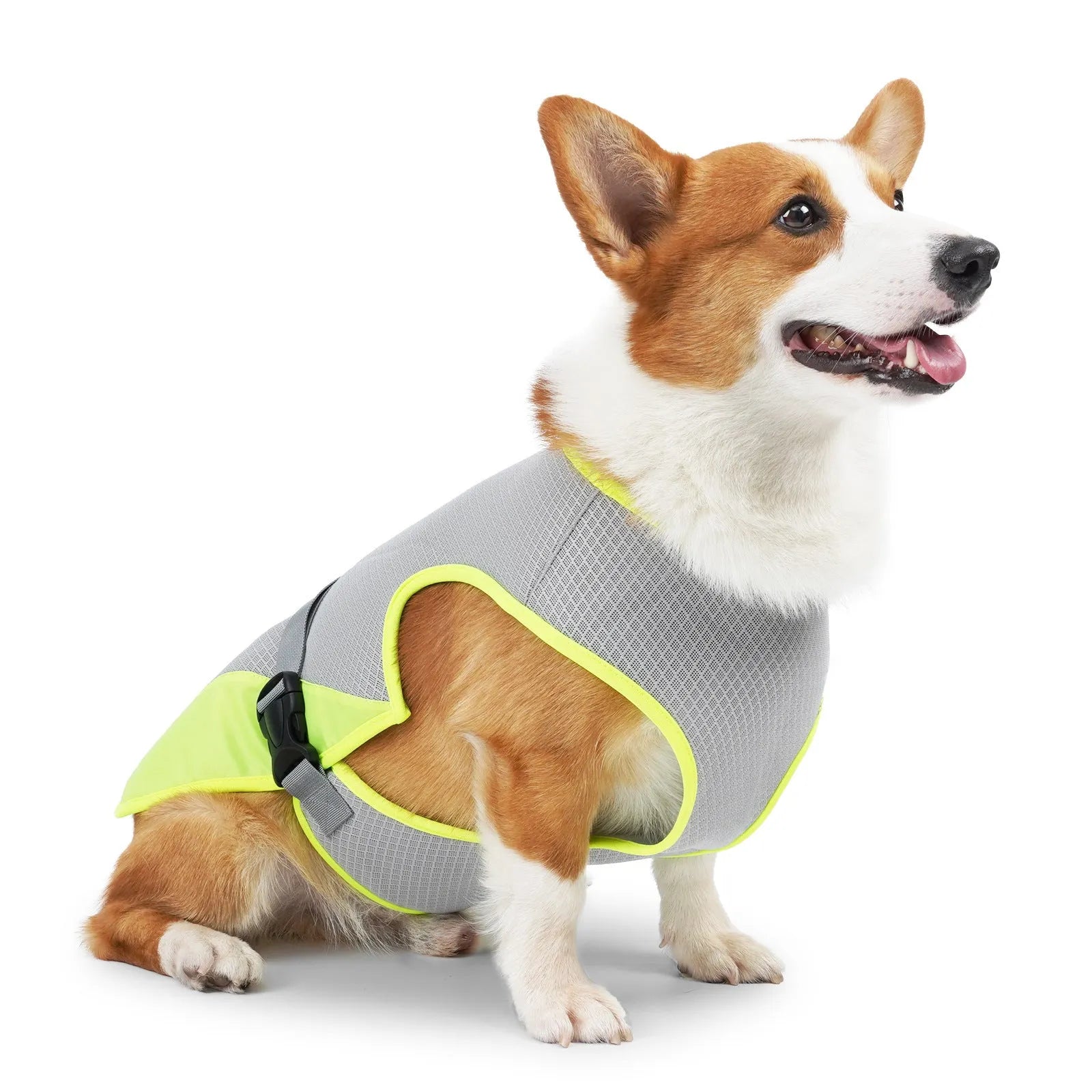 Polyester dog cooling vest for heatstroke prevention in summer with breathable fabric