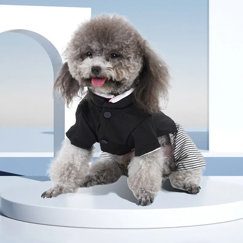 Thin cotton poodle dog clothes available in four-foot pants or skirt styles for summer seasonal wear