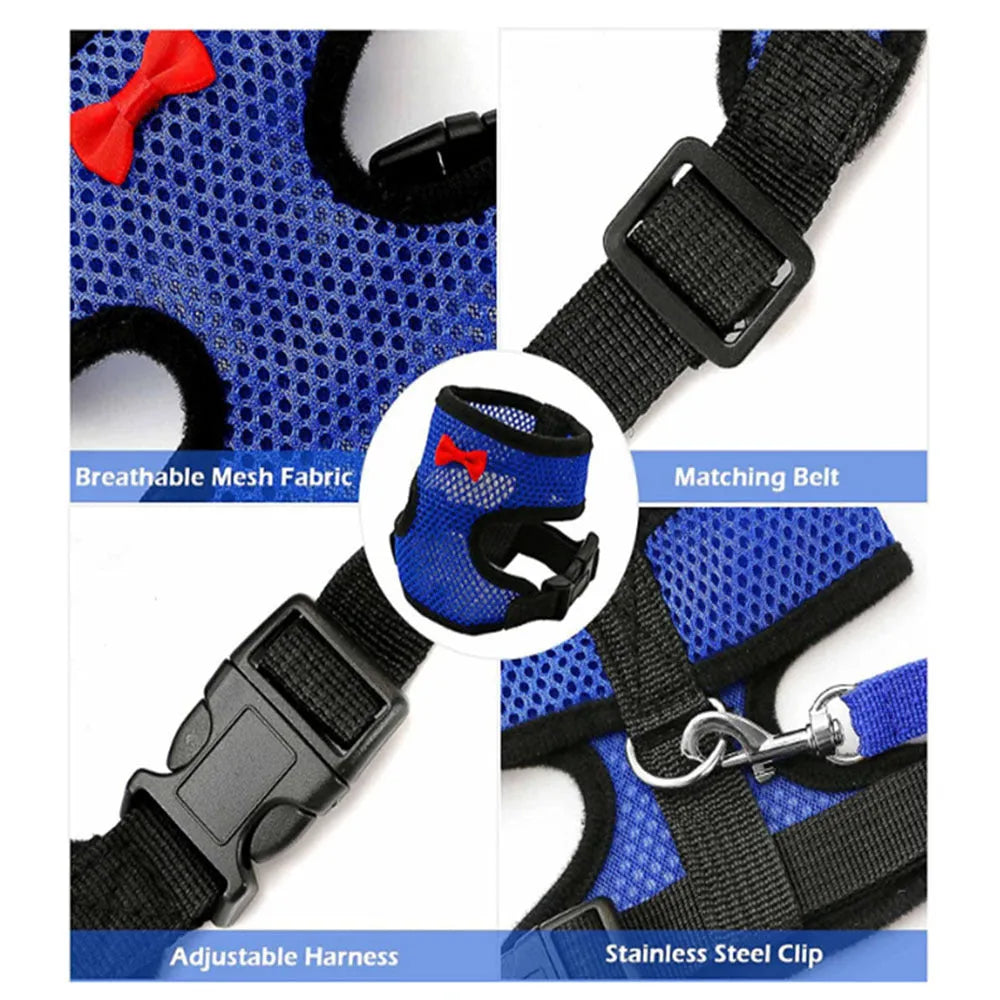 Chicken wearing mesh harness vest with decorative collar and control rope