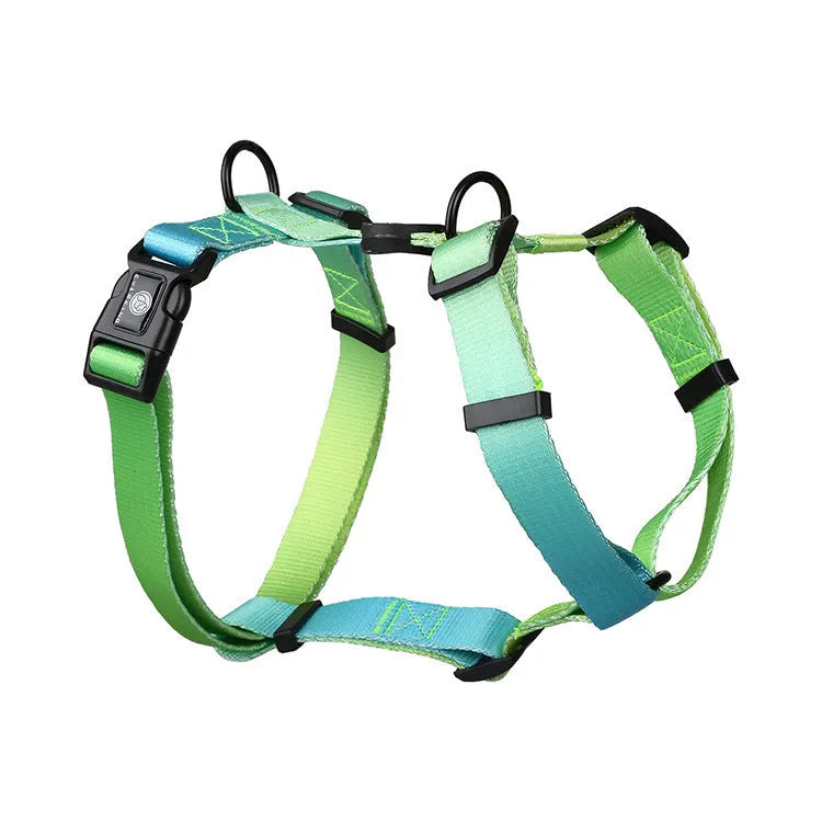 Gradient colour pet chest strap harness in purple, blue, neon, or green patterns.