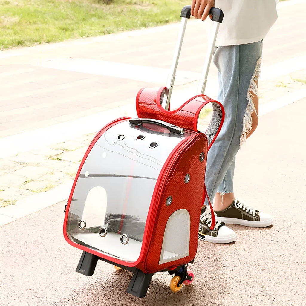Transparent foldable pet trolley bag for small dogs and cats with shoulder carrying strap