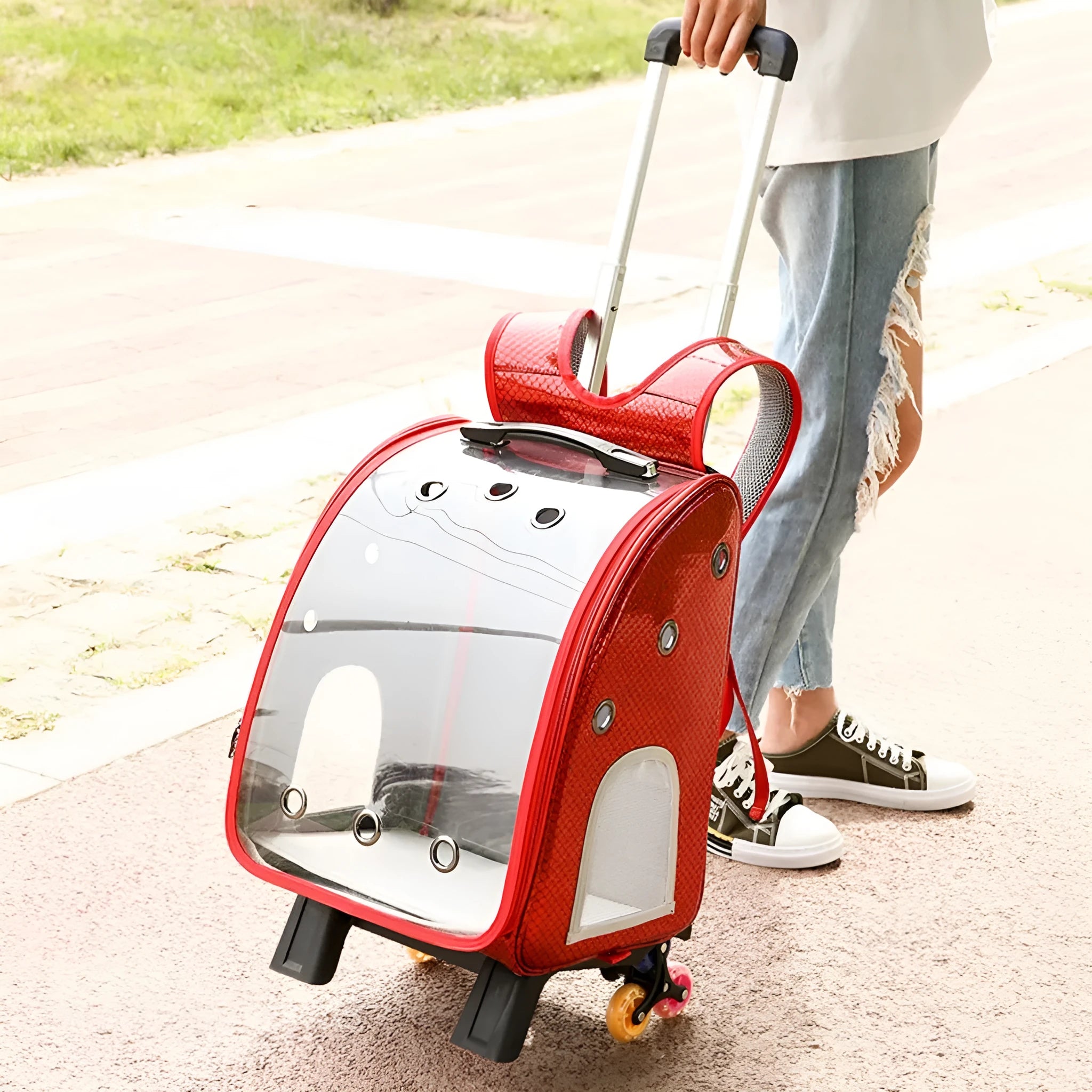 Transparent foldable pet trolley bag for small dogs and cats with shoulder carrying strap