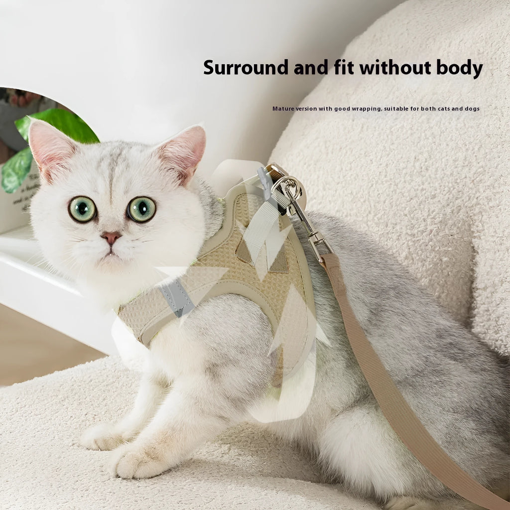 Cloth cat harness with chest strap and hand-holding rope in brown, green, purple colour options