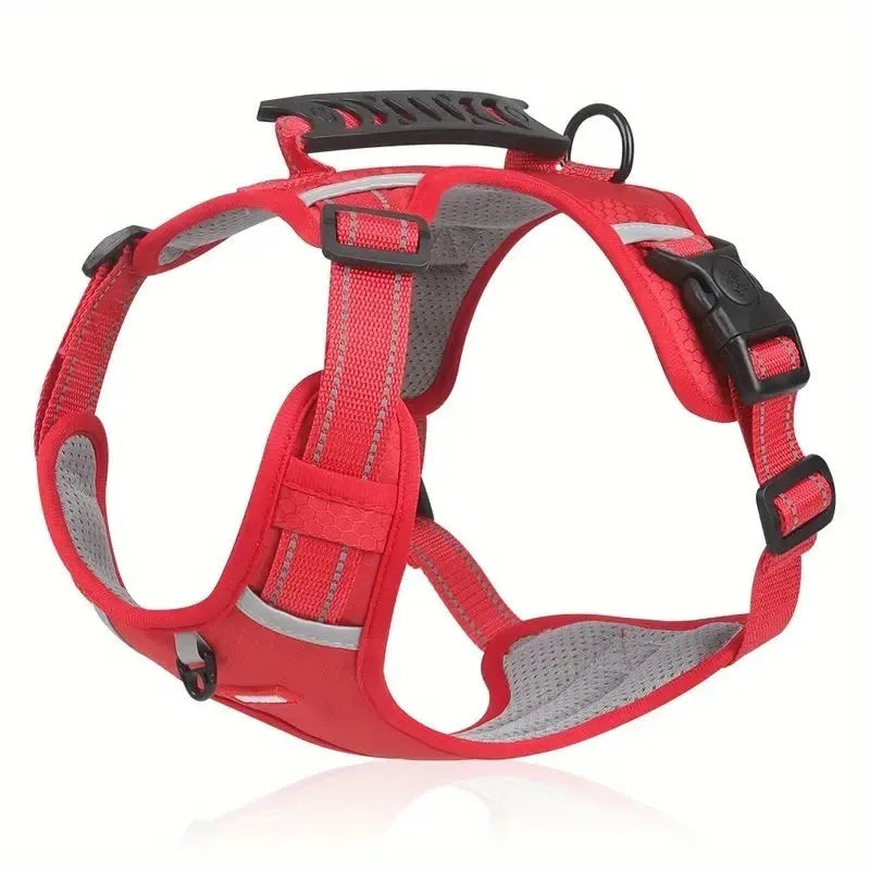 Polyester dog chest harness and lead set in multiple colours including Lake Blue, pink, and yellow