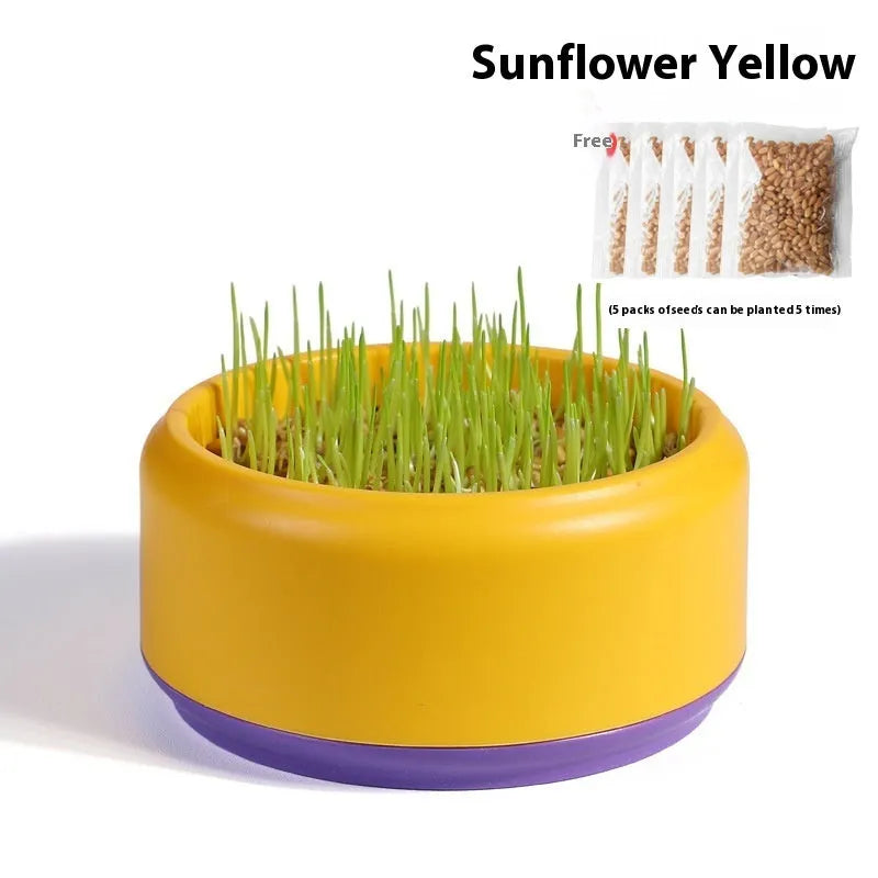 Hydroponic cat grass kit with soilless seeds in plastic growing cup