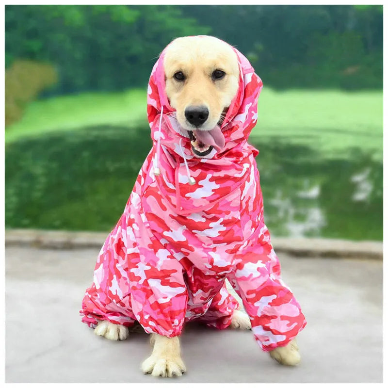 Dogs all-inclusive PU raincoat in blue colour on a dog for wet weather protection