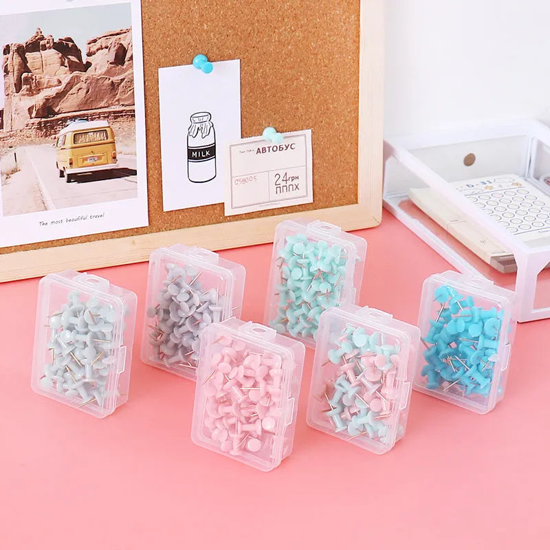 50 Morandi colour push pins with five-pointed star button design for noticeboards and cork boards