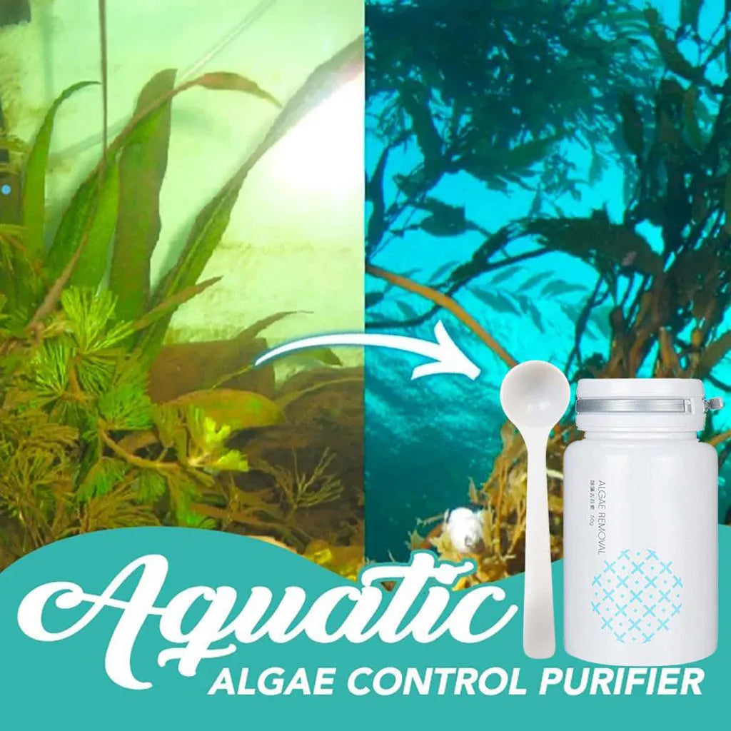 50g swimming pool algaecide tablet for removing green water and preventing algae in pools and aquariums.