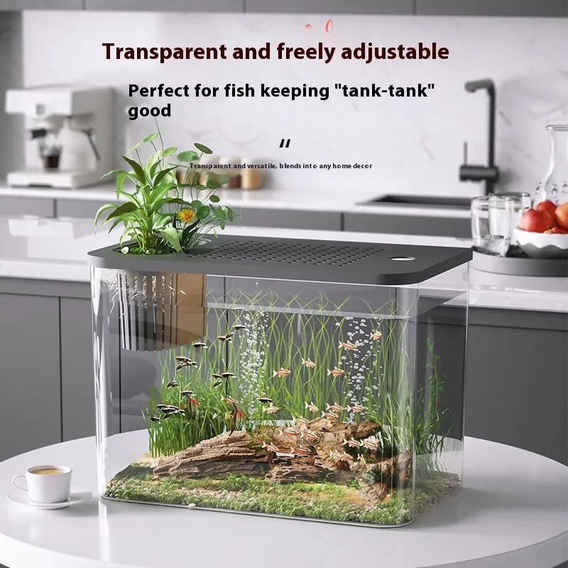 Medium plastic betta fish tank with cover in black or white colour option