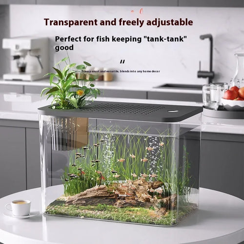 Medium plastic betta fish tank with cover in black or white colour option