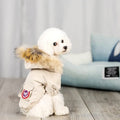 Pet dog wearing blue wool hat and cotton clothing set on light background