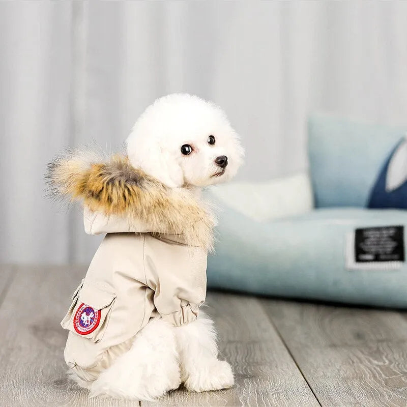 Pet dog wearing blue wool hat and cotton clothing set on light background