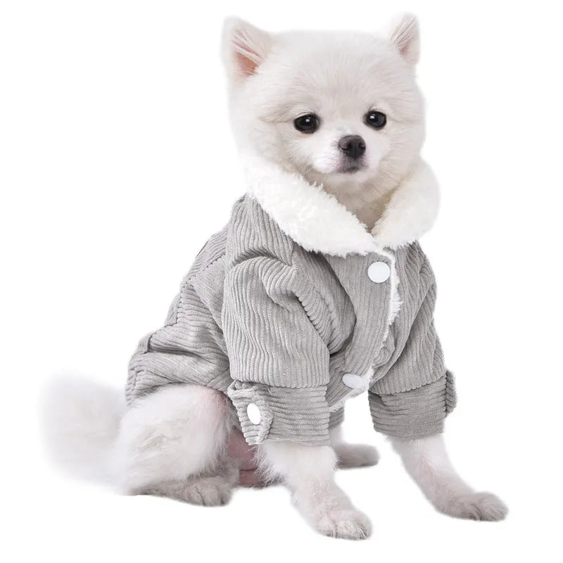 Lambswool grey dog vest with wool lining for autumn and winter wear