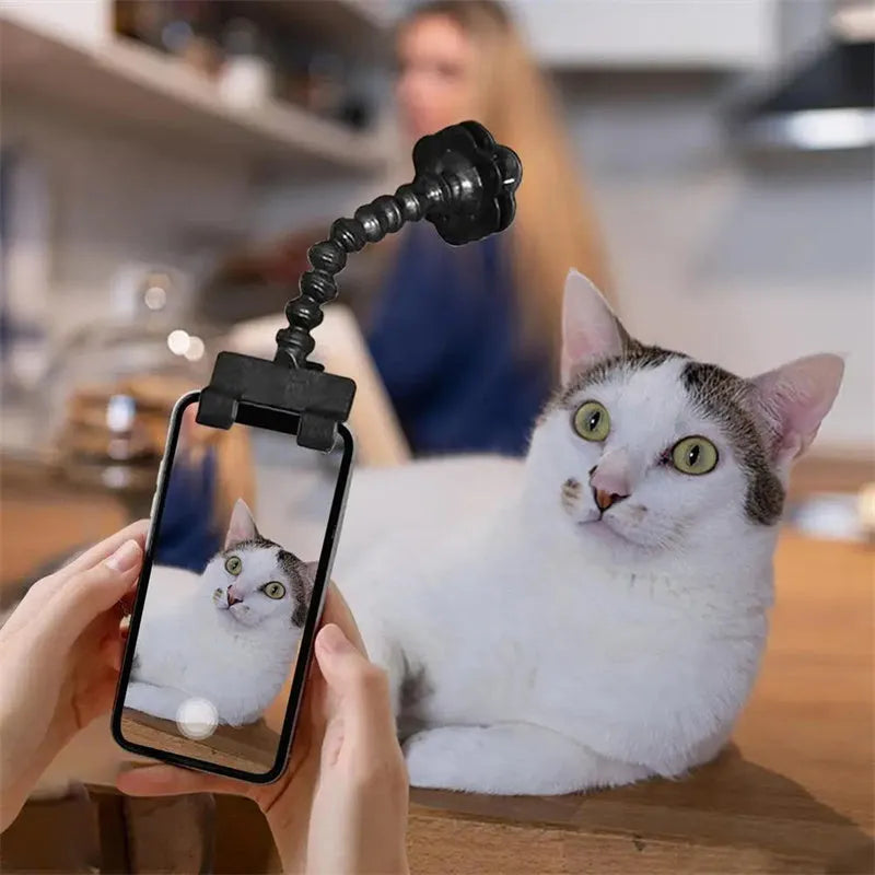Black and white pet photography phone holder with snack grip and 360-degree rotation