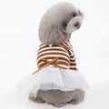 Bears Teddy cotton pet skirt for female dogs in coffee colour