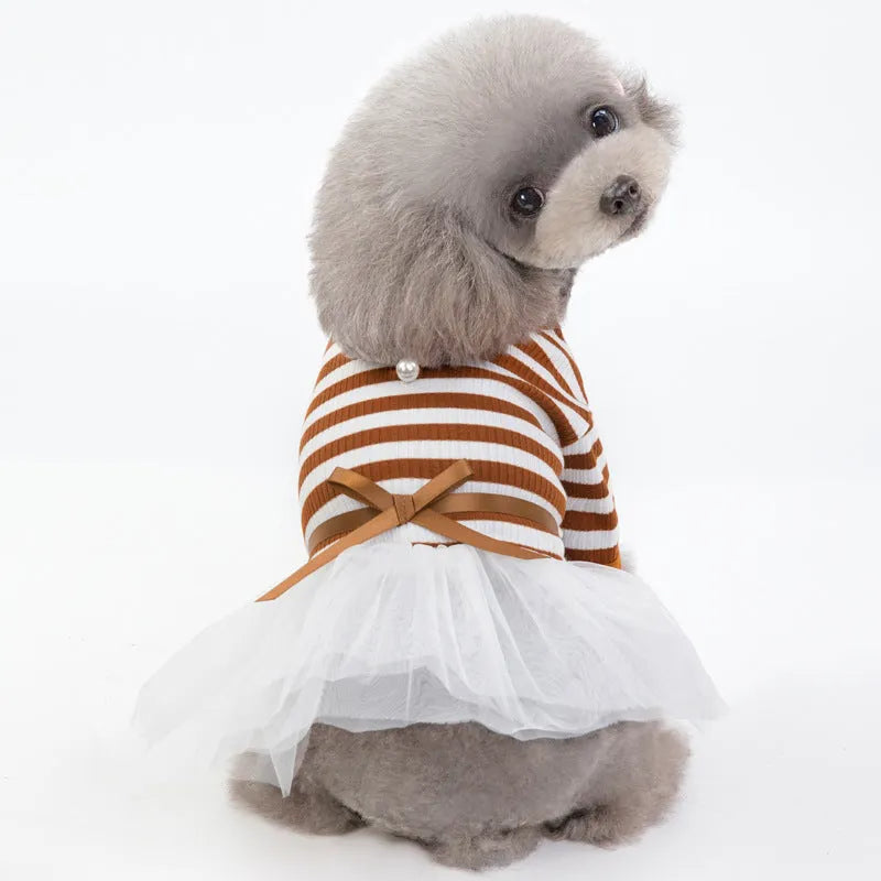 Bears Teddy cotton pet skirt for female dogs in coffee colour