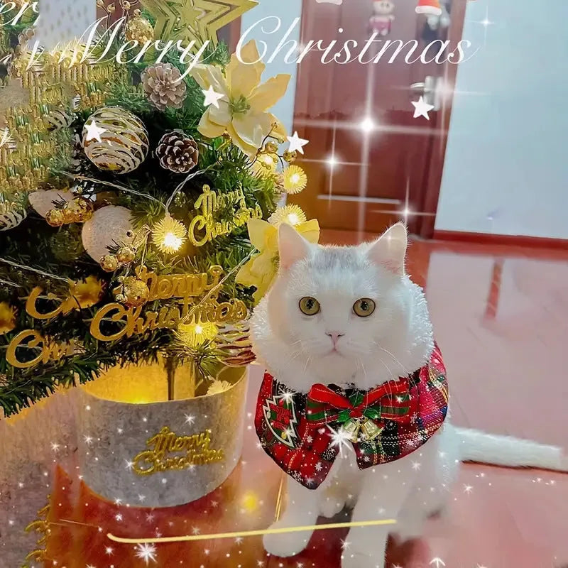 Festive pet scarf with holiday pattern in red and blue colours, shown draped as a winter accessory
