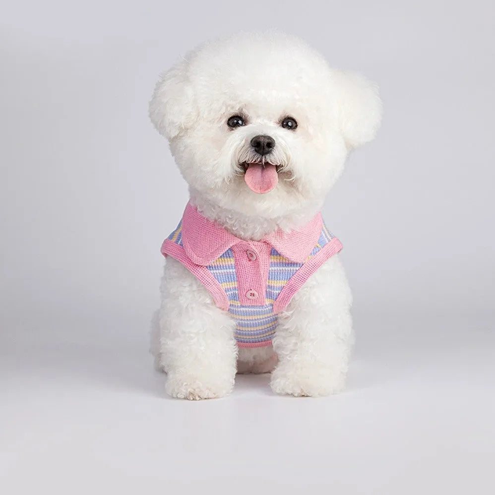 Pink purple knitted vest for a small dog on a mannequin, showing lightweight fabric and simple vest design.