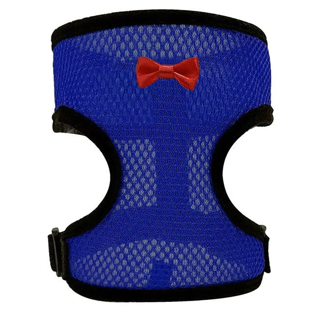 Chicken wearing mesh harness vest with decorative collar and control rope