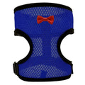 Chicken wearing mesh harness vest with decorative collar and control rope