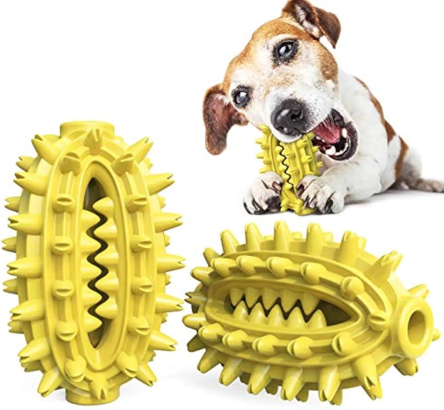 Green durable cactus-shaped dog toothbrush chew toy for aggressive chewing and dental care.