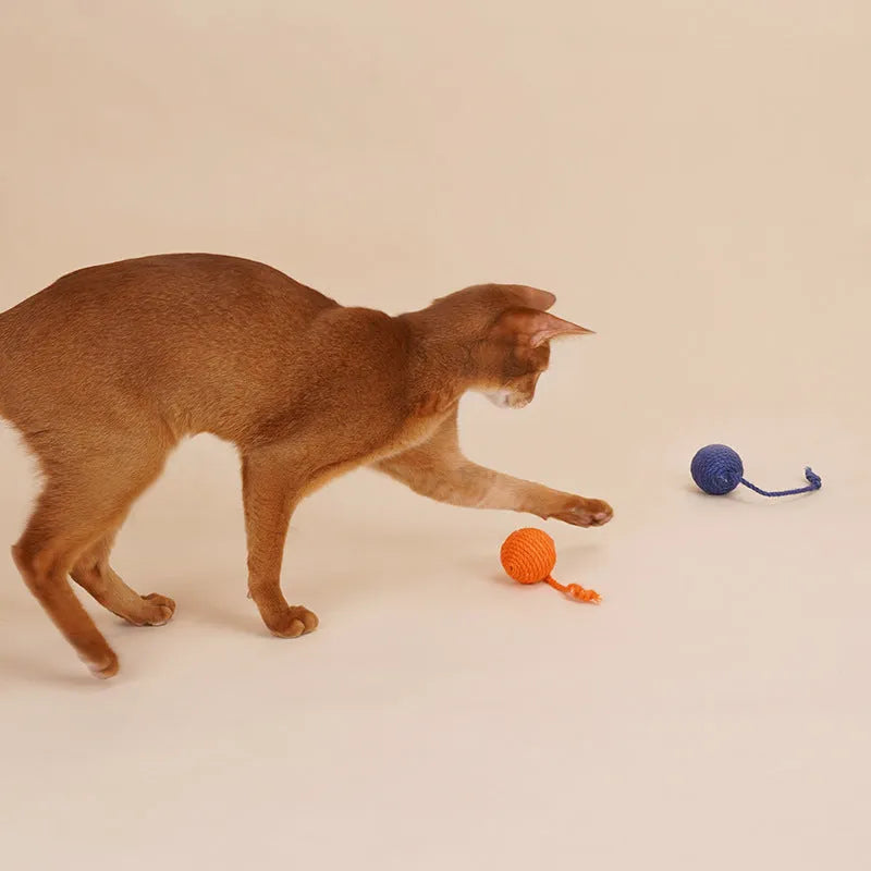 Cat toy set with four different interactive toys including teaser stick and catnip balls