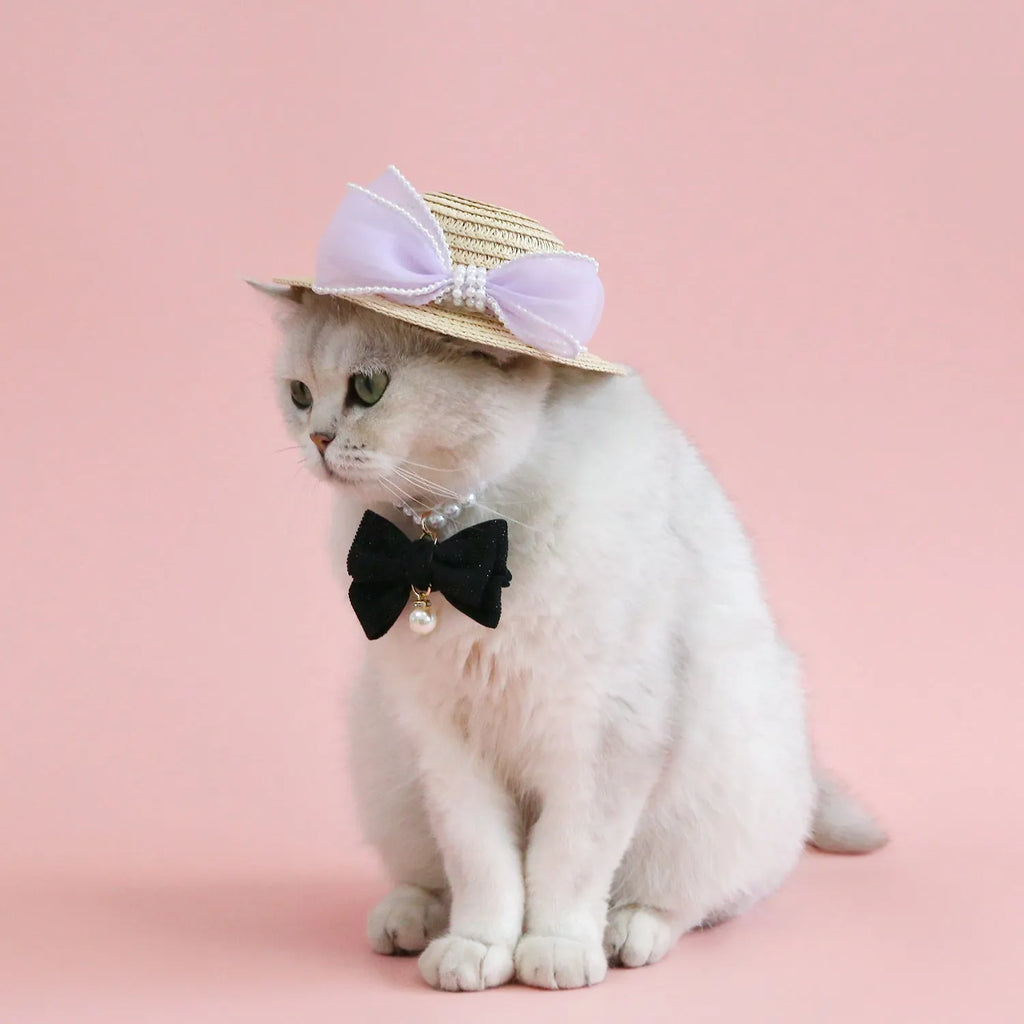A woven Lafite leaf straw hat for a cat, decorated with a pearl butterfly bow, shown in pink, purple, blue, and white colour options.