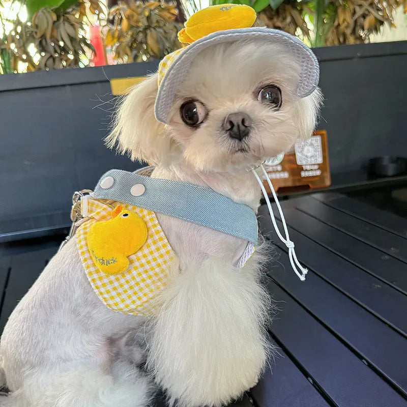 Pet wire rope pulling set showing harness, leash, and three-piece cat clothes outfit with cute hat
