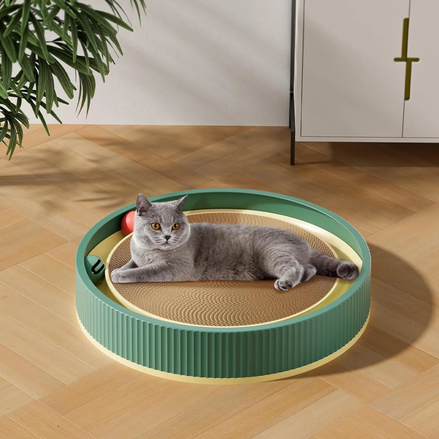 Large green circular cat scratching board with ball toys and a white replaceable core for indoor cats