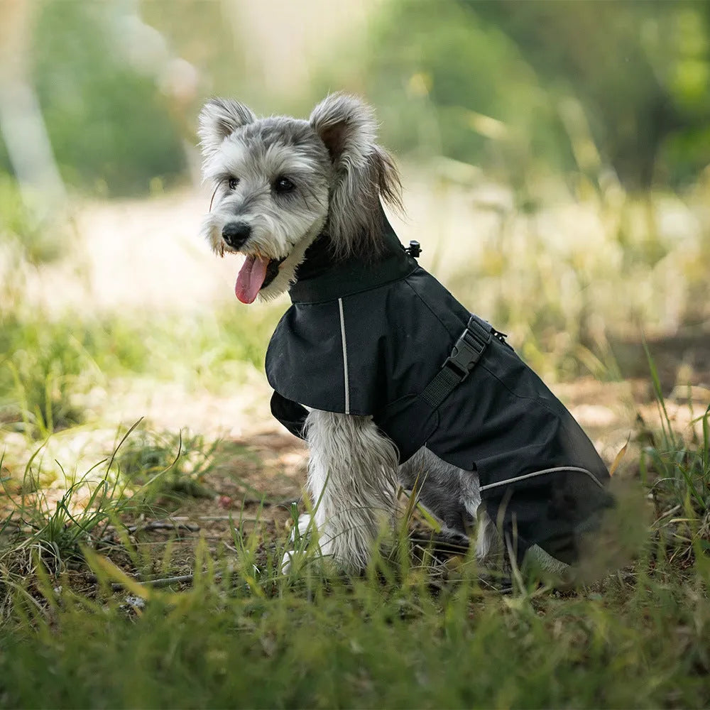 Waterproof polyester dog poncho in British style for small to medium dogs, available in multiple colours