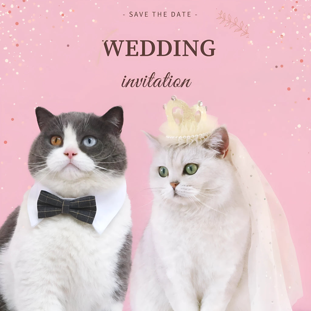 Princess crown headdress with veil for a cat, shown in beige and pink colour options.