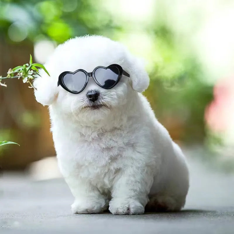 Pet doll sunglasses toy accessory PC full rim frame black film size colour options