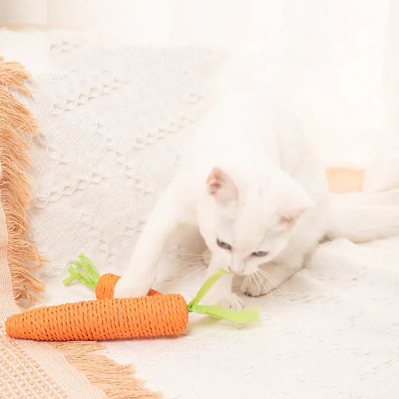 Set of assorted cat toys including fabric carrot bites, crinkly paper toys, ringing stones, feather-like sticks, and chewable tooth grinding sticks.
