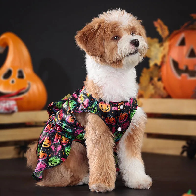 Angel wings Halloween dog costume in bright pumpkin colour, size medium on standing dog