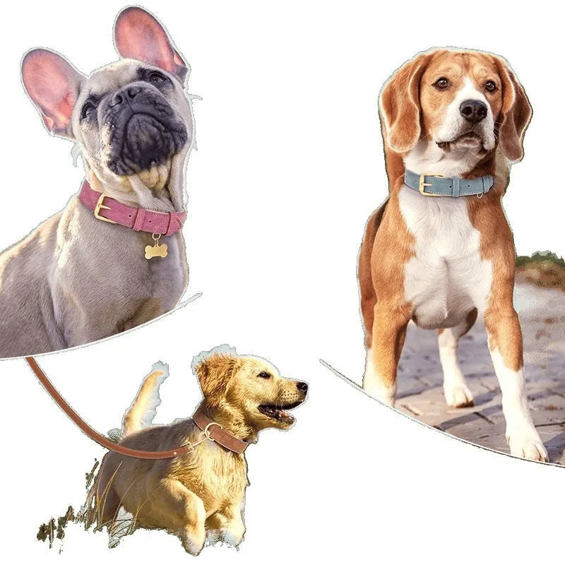 Blue double-layer leather dog collar and matching leash on a tan background