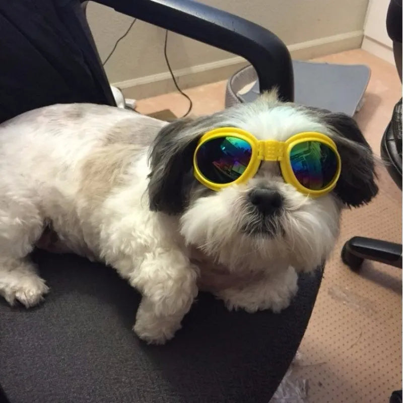 Foldable dog sunglasses in black with UV protection and adjustable straps