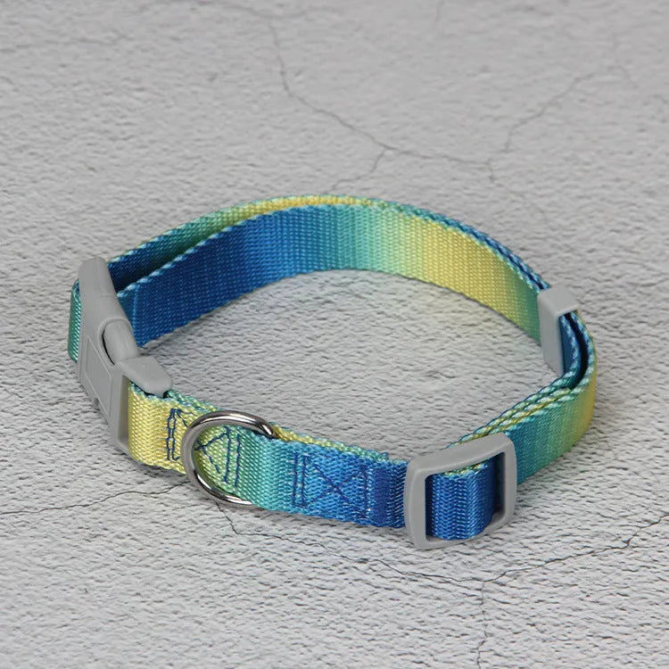 Nylon dog leash and collar set showing pink and blue gradient colour option.