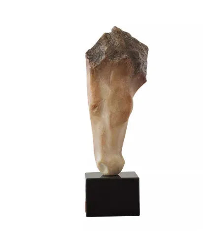 French retro style abstract horse head art sculpture with carved surface, 50 cm tall desktop ornament.