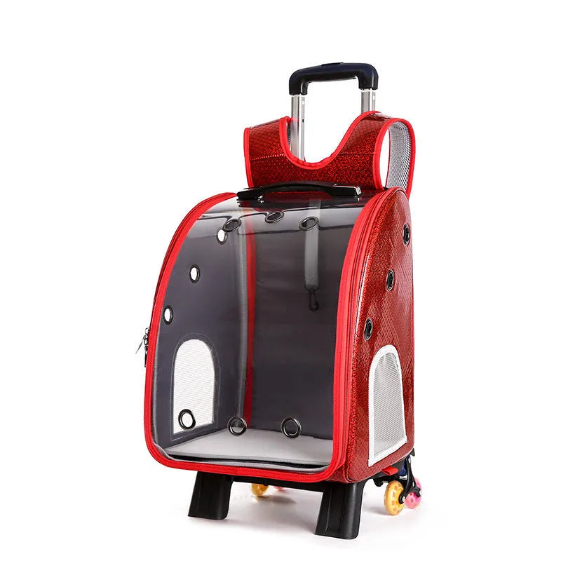 Transparent foldable pet trolley bag for small dogs and cats with shoulder carrying strap