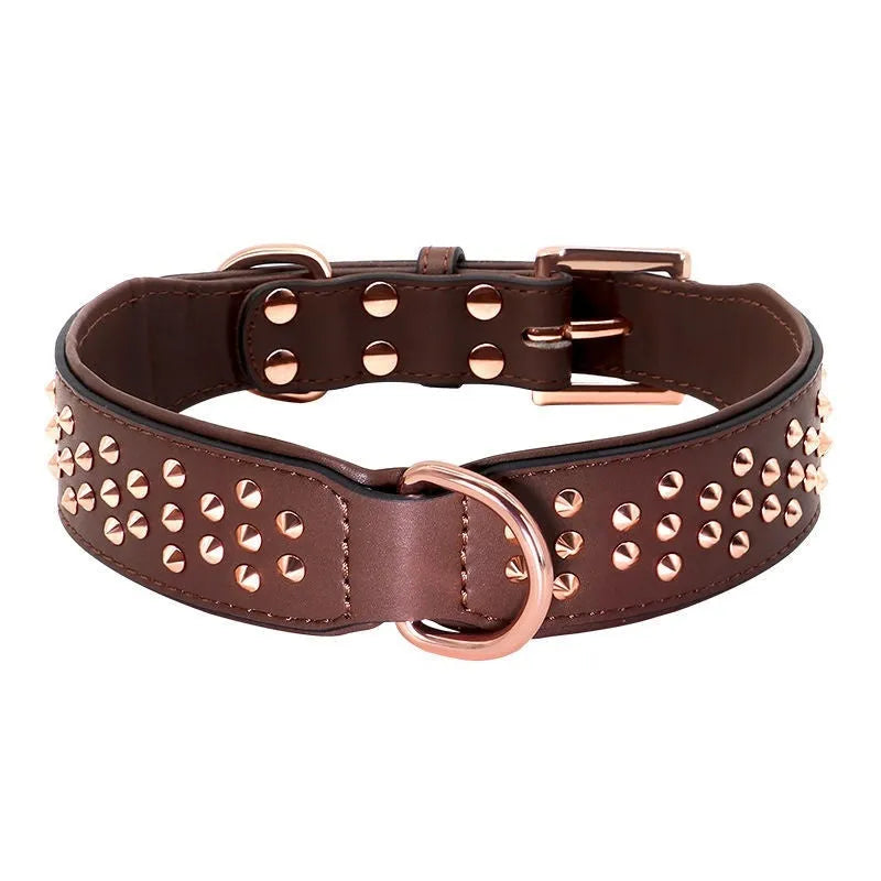 Leather dog collar with metal rivet studs in chocolate colour, shown on a size label.