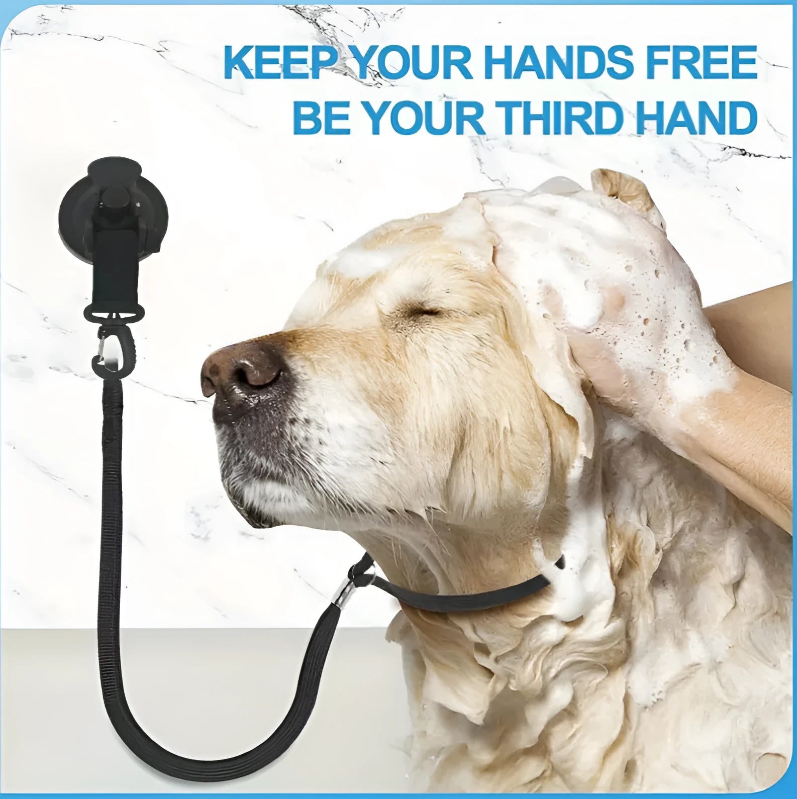 Pet bathing fixed artifact with suction cup traction rope and handcuffs in black or blue