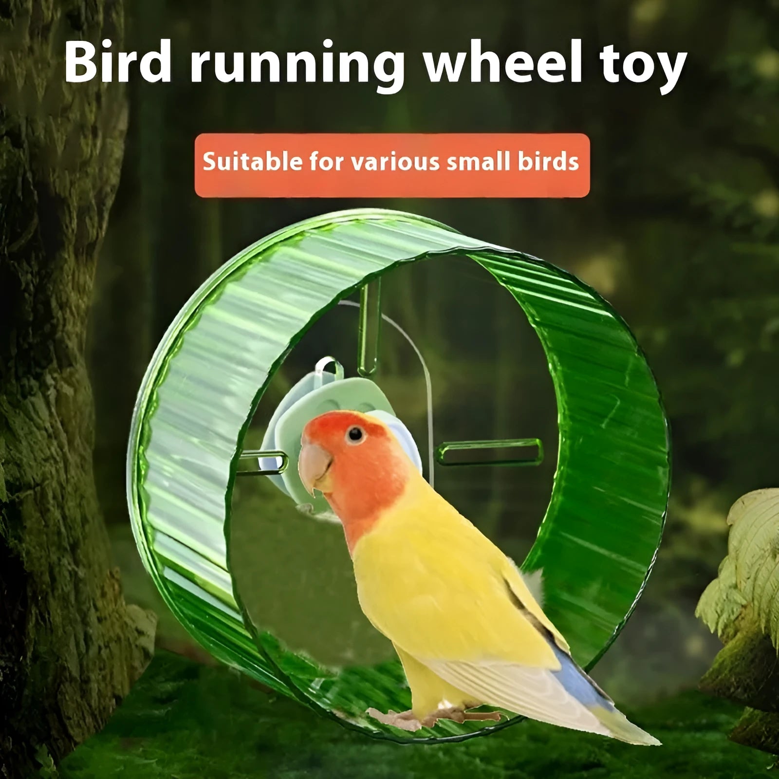 Plastic parrot running wheel toy in transparent colour showing circular treadmill design