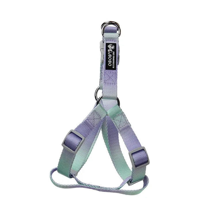 Nylon dog leash and collar set showing pink and blue gradient colour option.