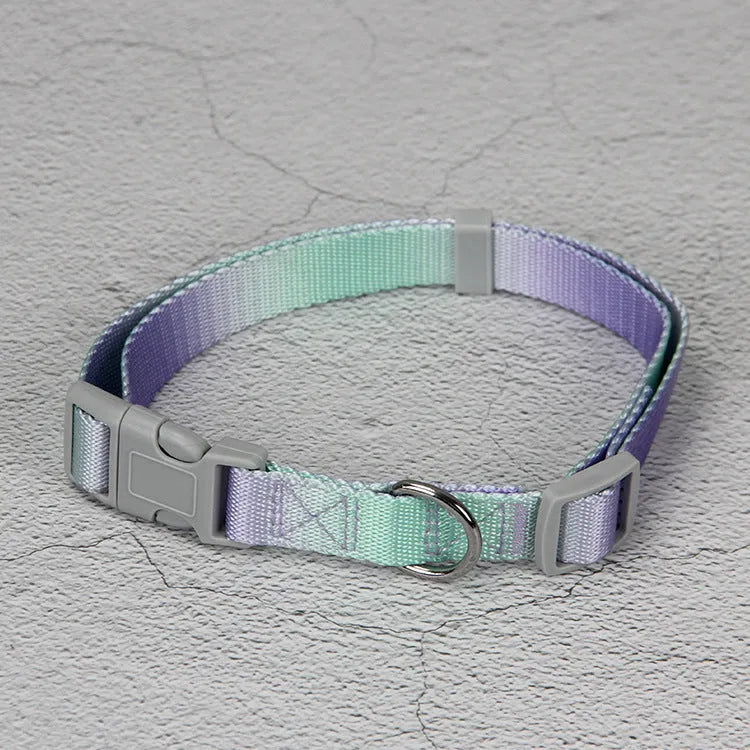 Nylon dog leash and collar set showing pink and blue gradient colour option.