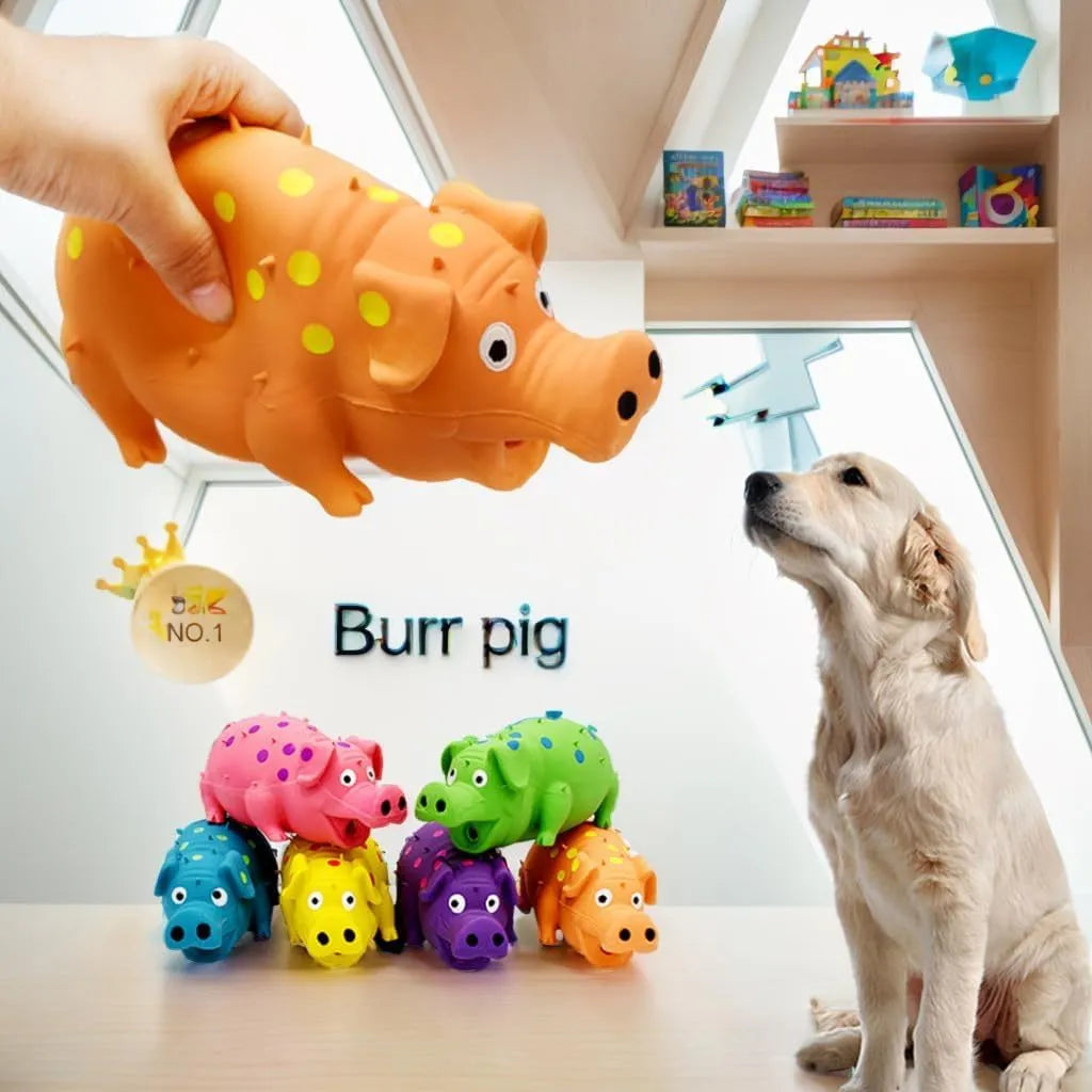 Latex pig-shaped dog chew toy with protruding grain texture in assorted colours