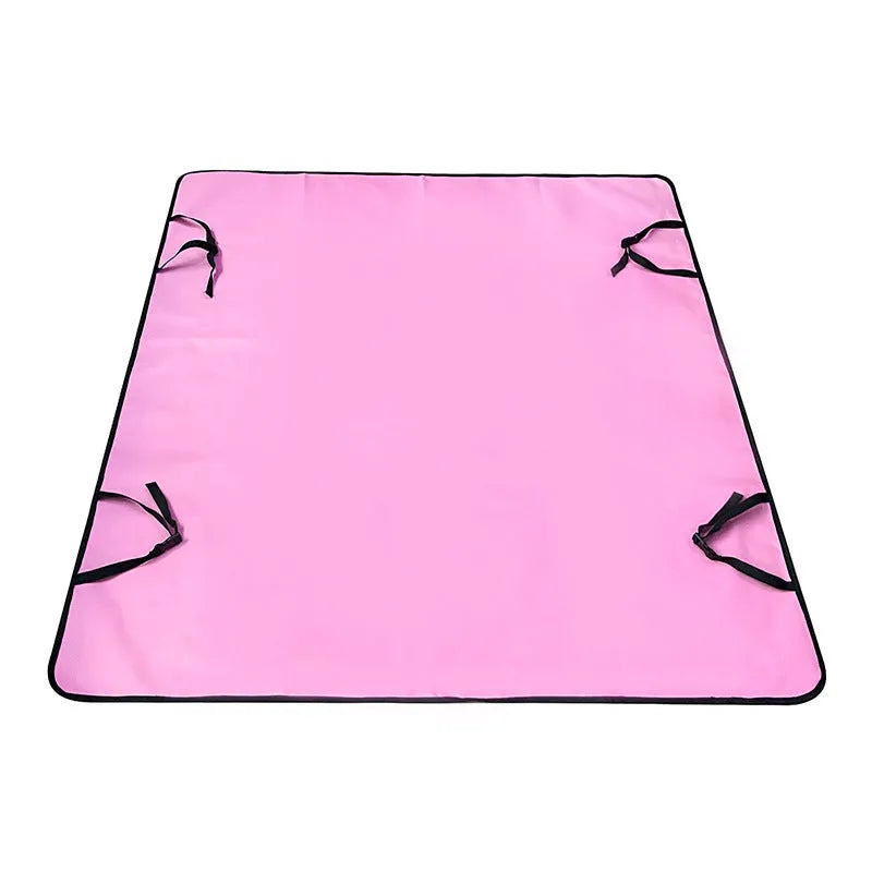 Water resistant cloth car pet mat for rear seat protection with dog footprint design