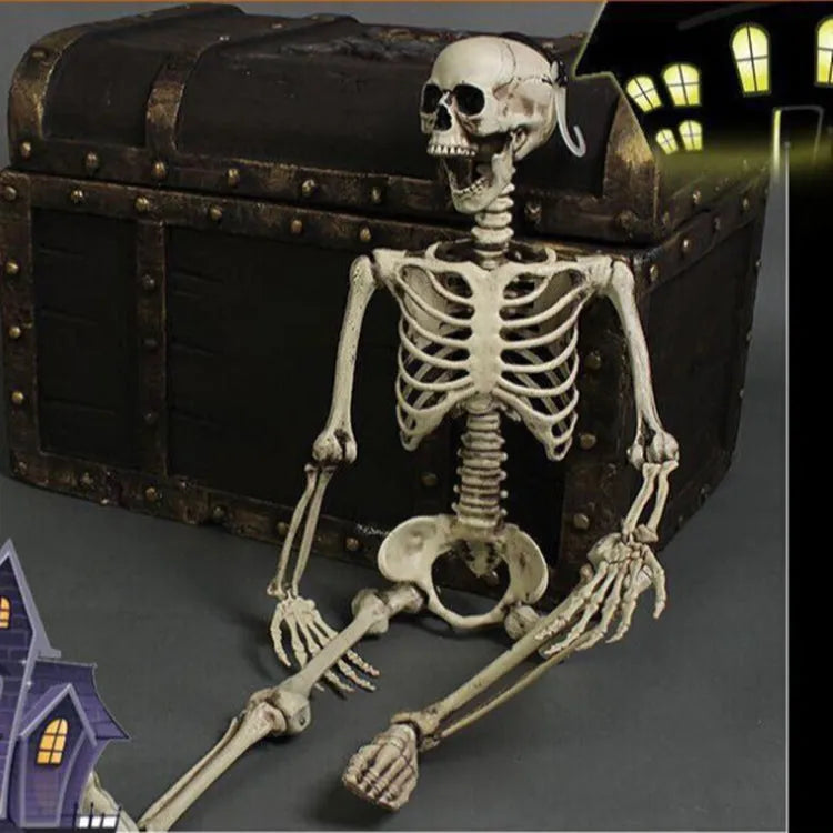 A full-size 170cm tall white plastic skeleton prop with a detailed skull on a neutral background.