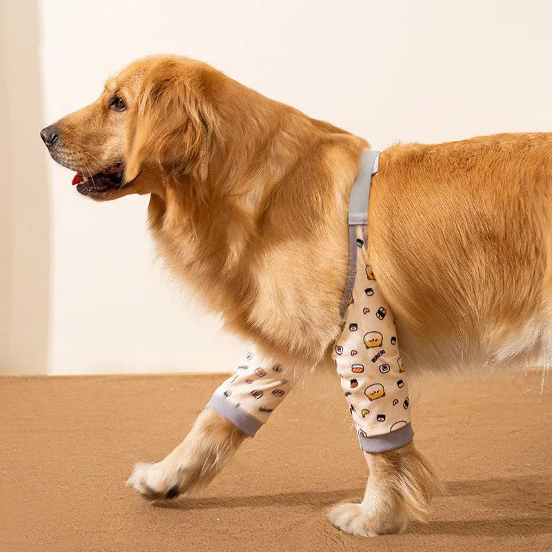 Dog wearing blue knee protector with elbow padding and matching scarf on front leg