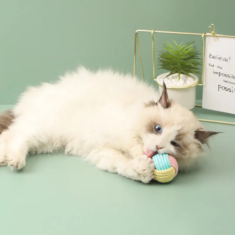 Handmade cat hair ball plush toy measuring 5cm with cotton ball construction